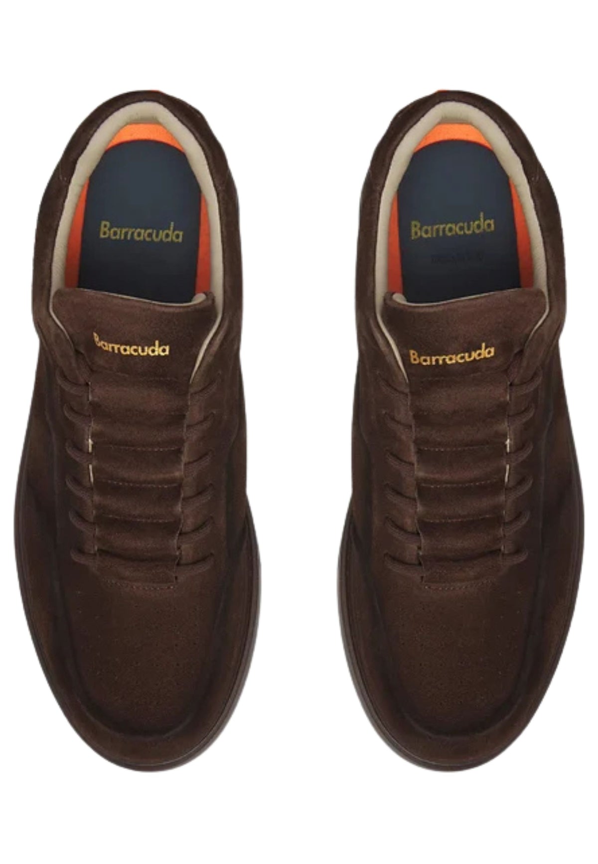 Barracuda - Sneaker Phoenix in camoscio
