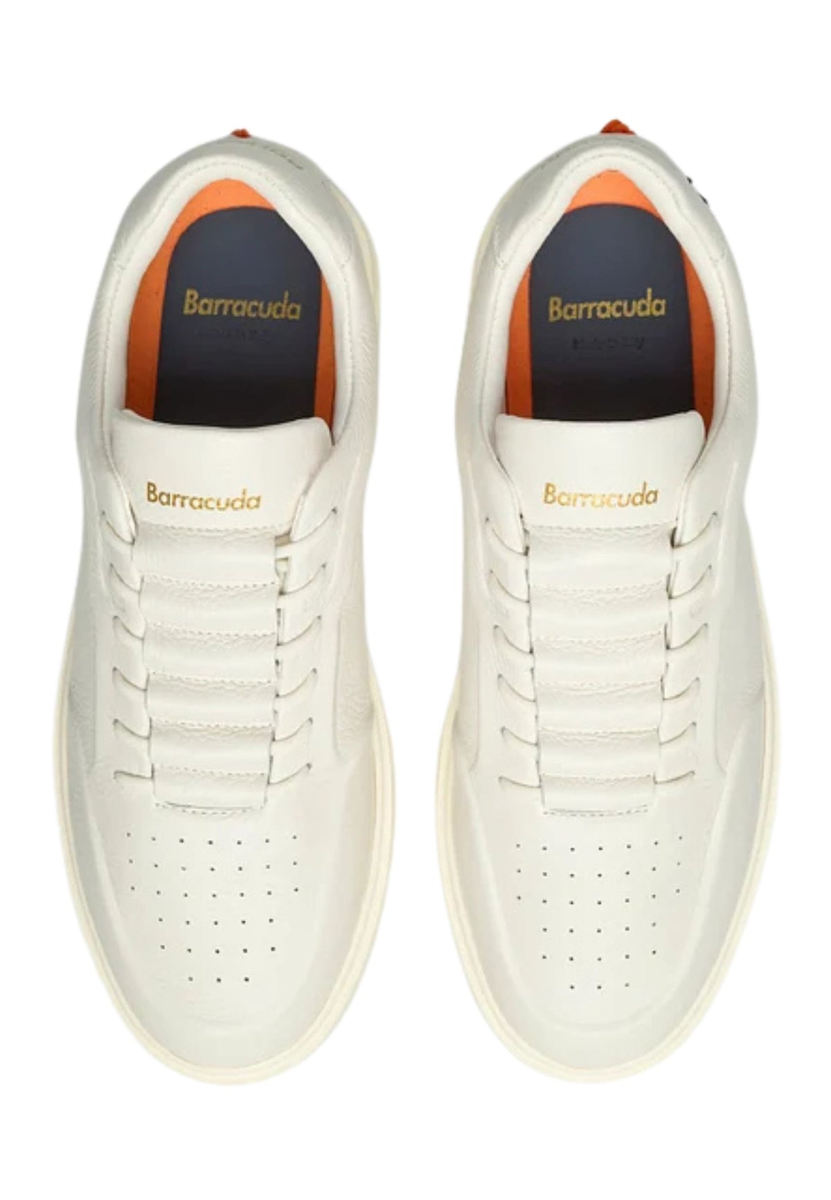 Barracuda - Sneaker Phoenix in pelle di vitello 