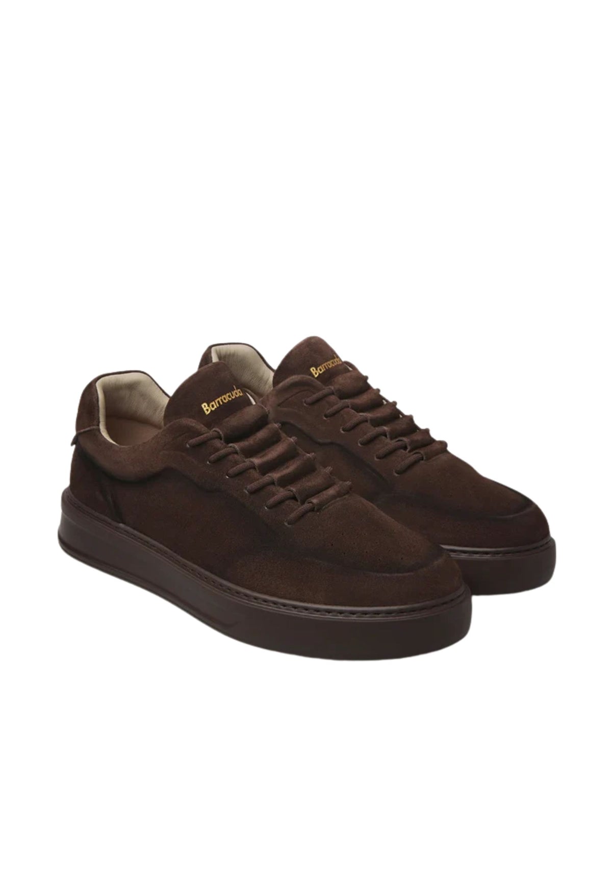 Barracuda - Sneaker Phoenix in camoscio 