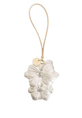Charm Twinset